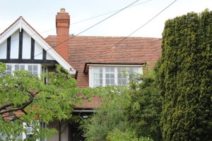 Ash Lane, Wells