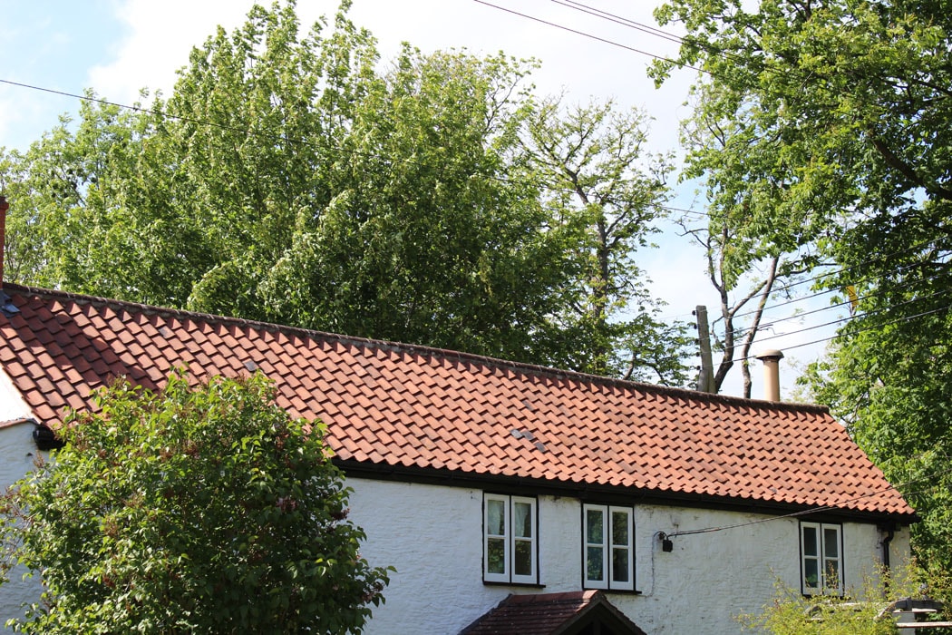 Roofer near me - Shepton Mallet